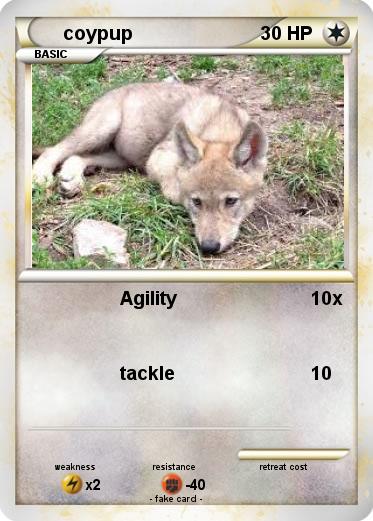 Pokemon coypup