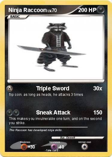 Pokemon Ninja Raccoon