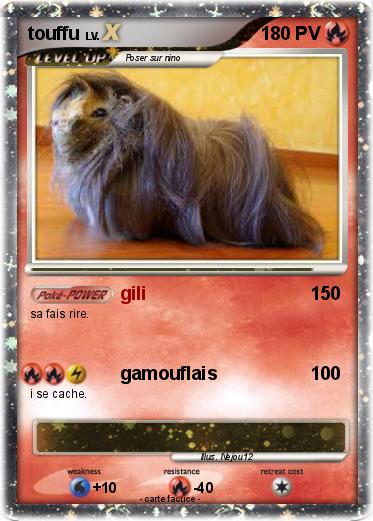 Pokemon touffu