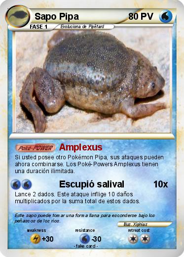 Pokemon Sapo Pipa