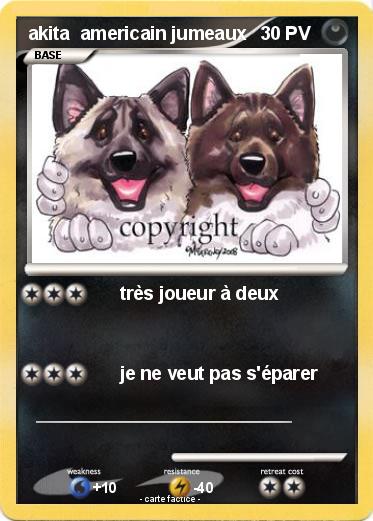 Pokemon akita  americain jumeaux