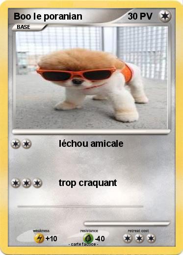 Pokemon Boo le poranian