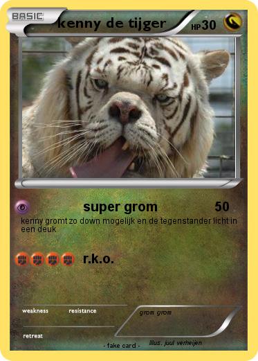 Pokemon kenny de tijger