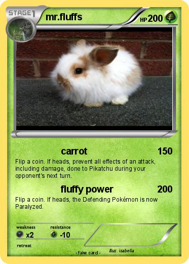 Pokemon mr.fluffs