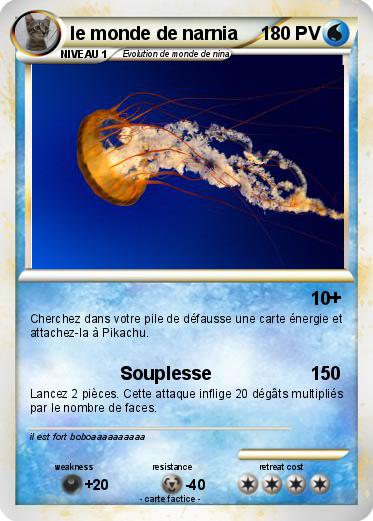 Pokemon le monde de narnia