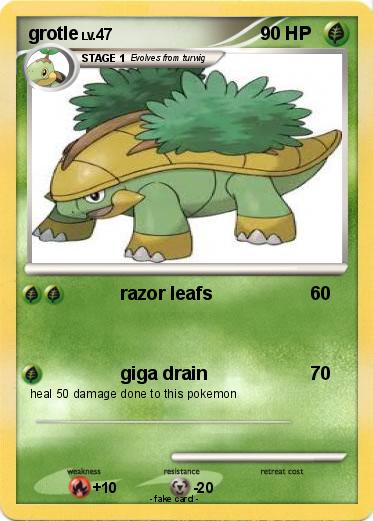 Pokemon grotle