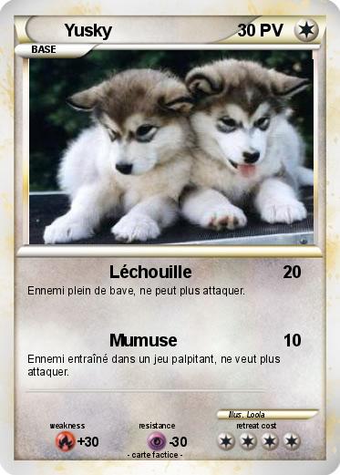 Pokemon Yusky