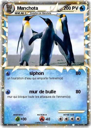 Pokemon Manchota