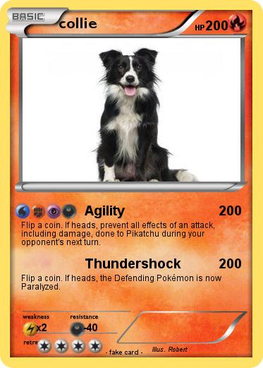 Pokemon collie