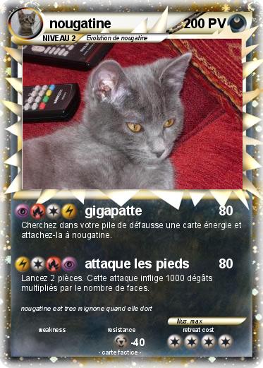 Pokemon nougatine