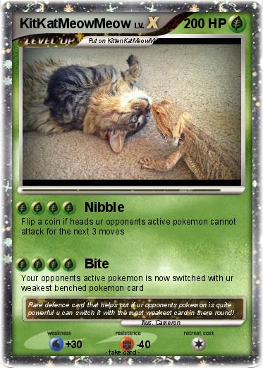 Pokemon KitKatMeowMeow