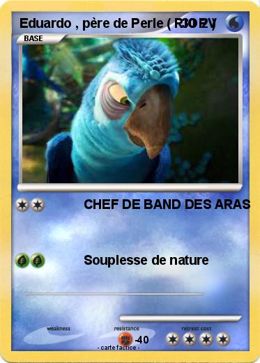 Pokemon Eduardo , père de Perle ( RIO 2 )