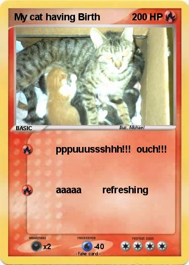 Pokemon My cat having Birth
