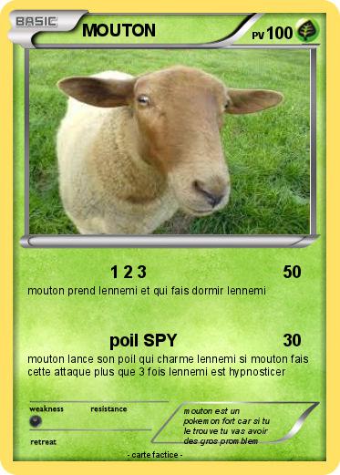 Pokemon MOUTON