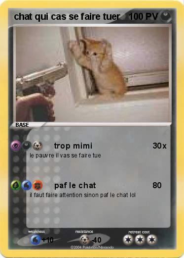 Pokemon chat qui cas se faire tuer 