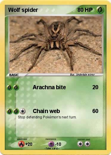 Pokemon Wolf spider