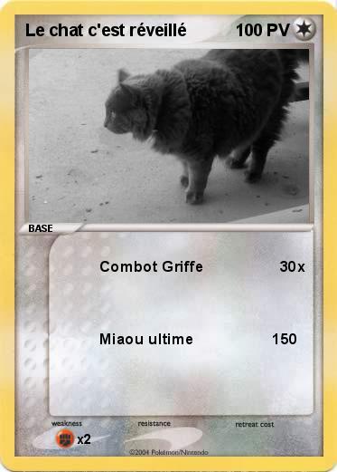 Pokemon Le chat c'est réveillé