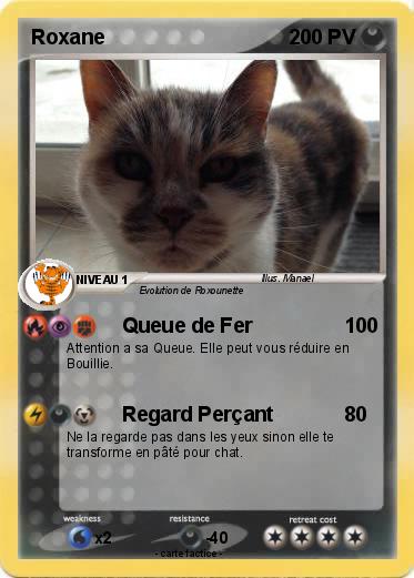 Pokemon Roxane
