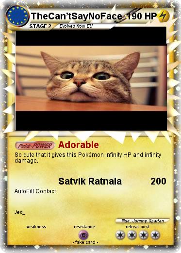 Pokemon TheCan’tSayNoFace