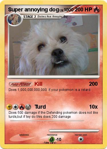 Pokemon Super annoying dog