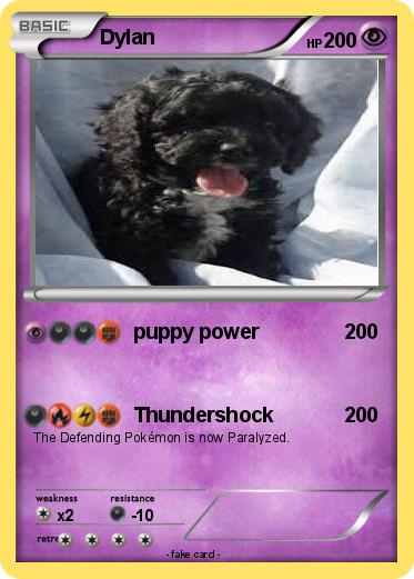 Pokemon Dylan