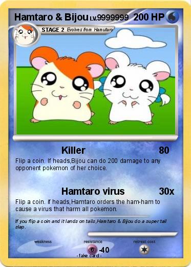 Pokemon Hamtaro & Bijou