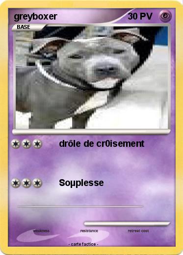 Pokemon greyboxer