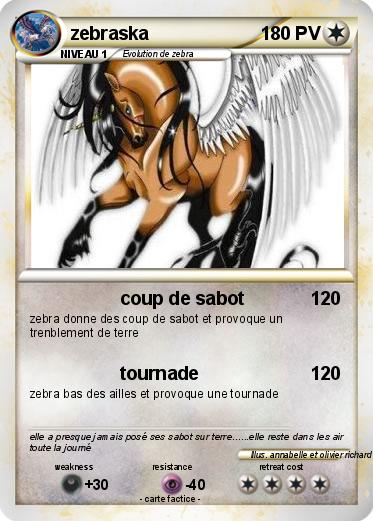 Pokemon zebraska