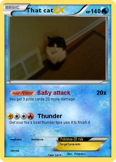 Pokemon That cat