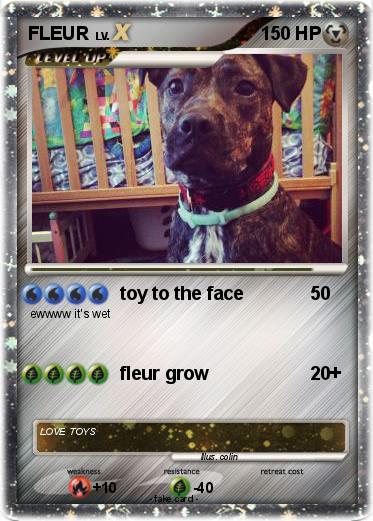 Pokemon FLEUR