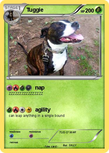 Pokemon Tuggie
