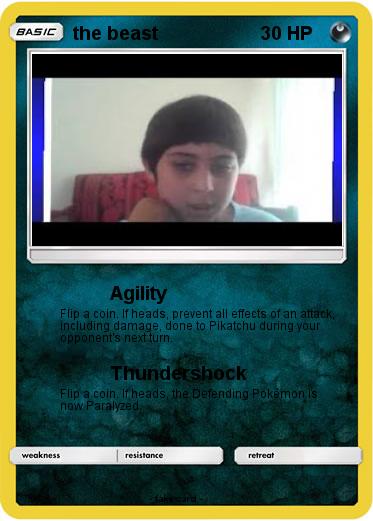 Pokemon the beast