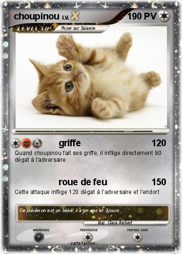 Pokemon choupinou