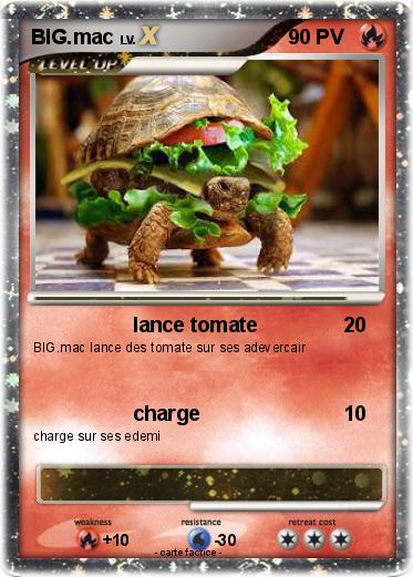 Pokemon BIG.mac