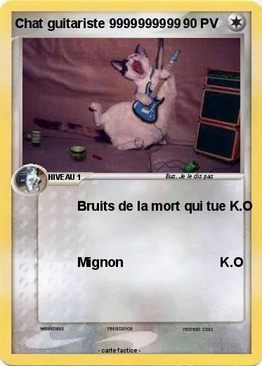 Pokemon Chat guitariste 9999999999