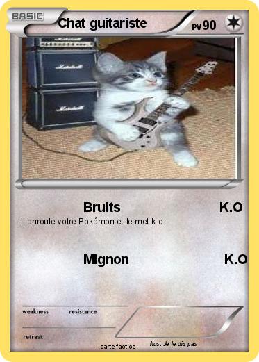 Pokemon Chat guitariste