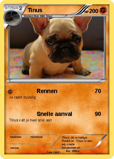 Pokemon Tinus