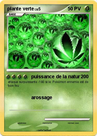 Pokemon plante verte