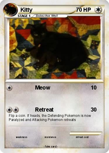 Pokemon Kitty