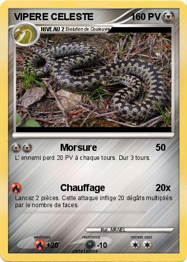 Pokemon VIPERE CELESTE