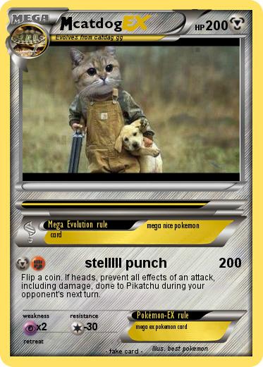 Pokemon catdog