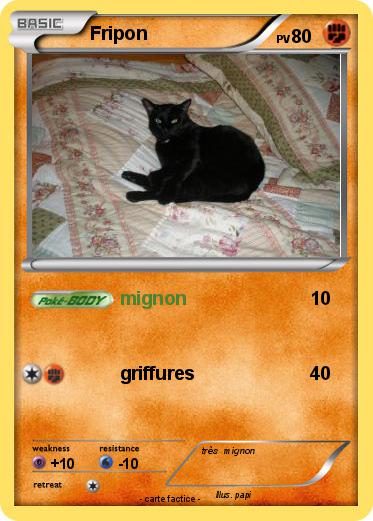 Pokemon Fripon