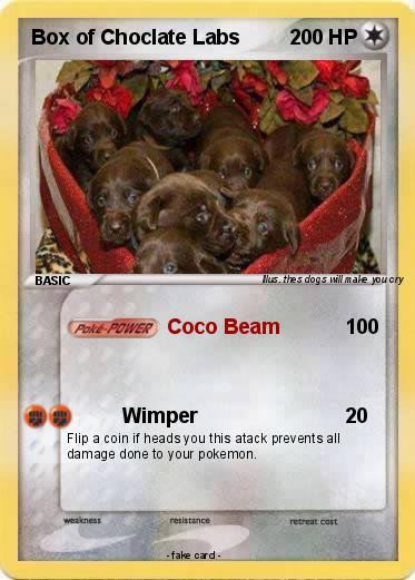 Pokemon Box of Choclate Labs