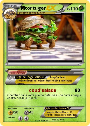 Pokemon tortuger