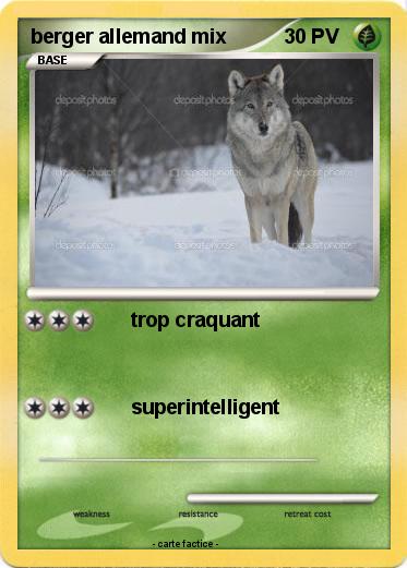 Pokemon berger allemand mix