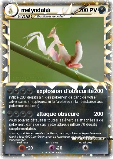 Pokemon melyndataï