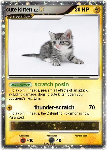 Pokemon cute kitten