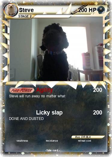 Pokemon Steve