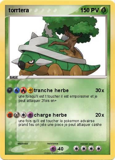 Pokemon torrtera