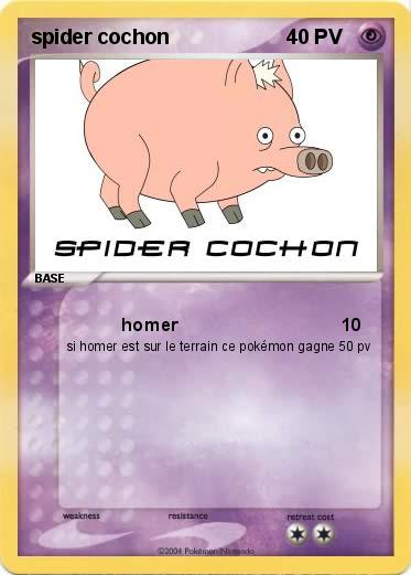 Pokemon spider cochon